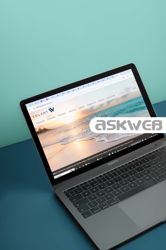 web sitesi tasarımı