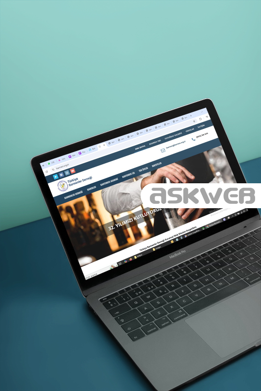 web sitesi tasarımı