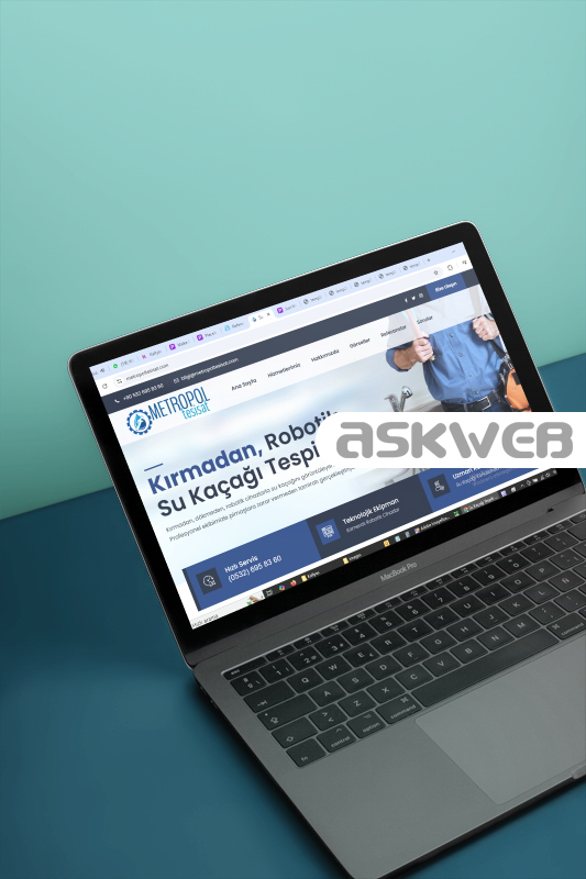 web sitesi tasarımı